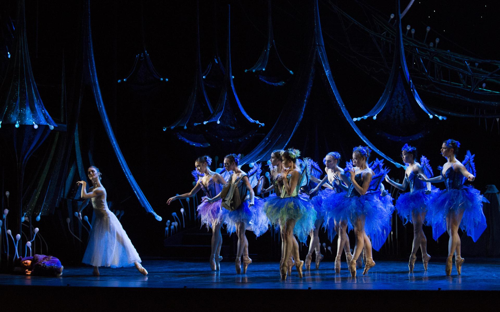Royal New Zealand Ballet  Choreographer: Liam Scarlett, Set &: Costumes; Tracy Grant Lord